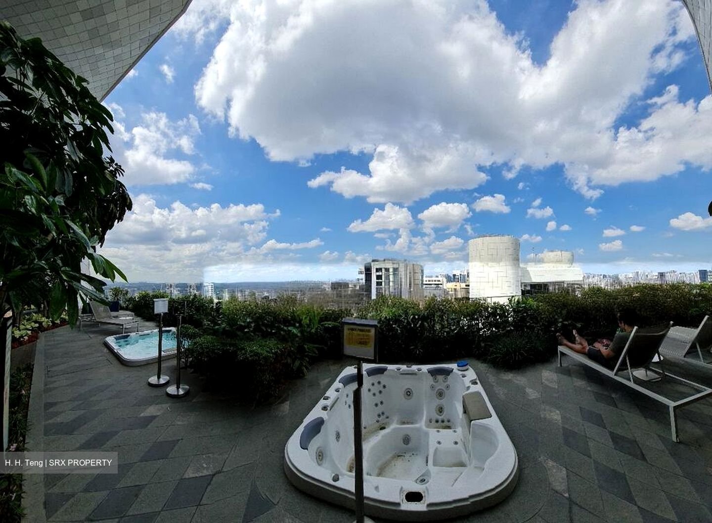 The Scotts Tower (D9), Condominium #501889171